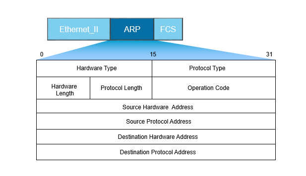 ARP数据包格式.png