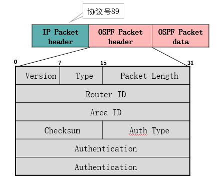 OSPF报文头.png